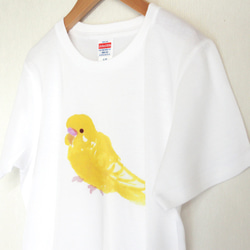 p-jet　ほわっとした セキセイインコ ルチノー  Tシャツ　 / 鳥 4枚目の画像