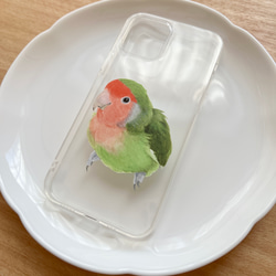 p-jet　コザクラインコ　ノーマル　（ TPUソフト　クリア　スマホケース  iPhone 15 ） / 鳥 インコ 2枚目の画像