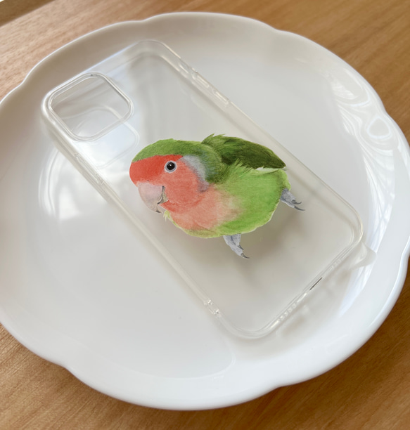 p-jet　コザクラインコ　ノーマル　（ TPUソフト　クリア　スマホケース  iPhone 15 ） / 鳥 インコ 3枚目の画像