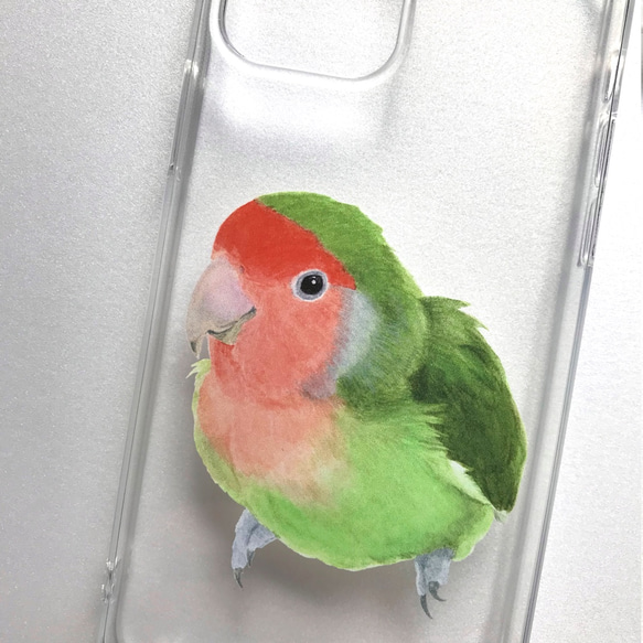 p-jet　コザクラインコ　ノーマル　（ TPUソフト　クリア　スマホケース  iPhone 15 ） / 鳥 インコ 4枚目の画像