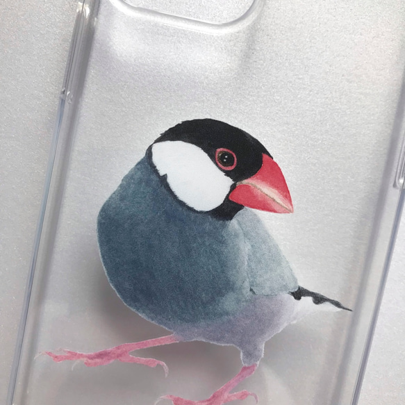 p-jet　文鳥　（ TPUソフト　クリア　スマホケース  iPhone ） / 鳥 桜文鳥  iPhone15 5枚目の画像