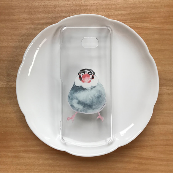 p-jet　桜文鳥 の スマホケース （ハードケース クリア）iPhone / Android ほぼ 全機種対応 1枚目の画像