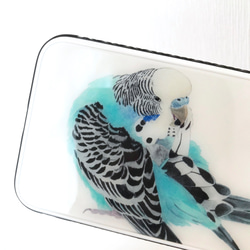 p-jet　青いセキセイインコ　強化ガラス　スマホケース　/　iPhone　iPhone15    /  鳥 インコ 2枚目の画像