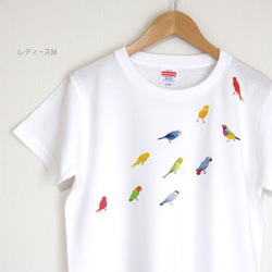 p-jet　小鳥 Tシャツ　（　セキセイインコ　文鳥　ボタンインコ　ヨウム ） /  鳥 インコ　再販まつり2023 2枚目の画像