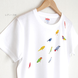 p-jet　小鳥 Tシャツ　（　セキセイインコ　文鳥　ボタンインコ　ヨウム ） /  鳥 インコ　再販まつり2023 3枚目の画像