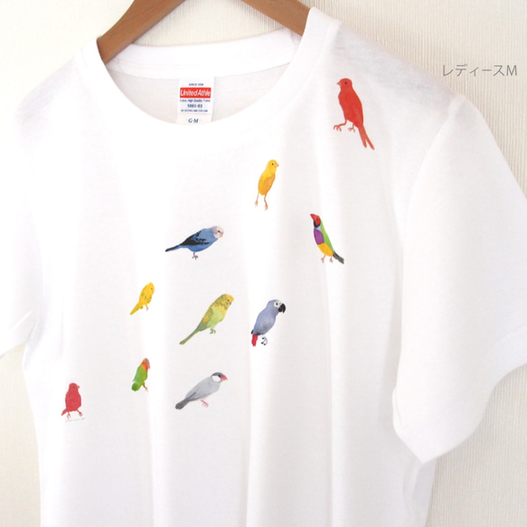 p-jet　小鳥 Tシャツ　（　セキセイインコ　文鳥　ボタンインコ　ヨウム ） /  鳥 インコ　再販まつり2023 1枚目の画像