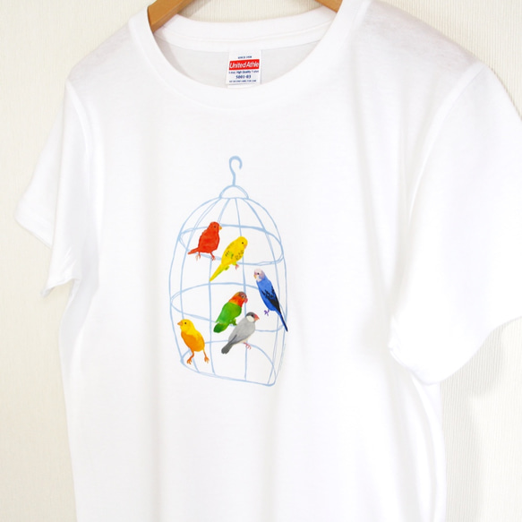 p-jet　カゴと小鳥　Tシャツ　（　セキセイインコ　文鳥　ボタンインコ　カナリア　） /  鳥 インコ 3枚目の画像