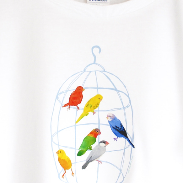 p-jet　カゴと小鳥　Tシャツ　（　セキセイインコ　文鳥　ボタンインコ　カナリア　） /  鳥 インコ 4枚目の画像