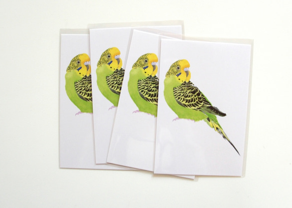 水彩　緑のセキセイインコ のポストカード　4枚セット　p-30×4 /  鳥 インコ セキセイインコ 1枚目の画像
