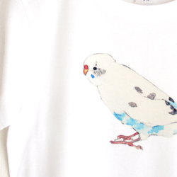 p-jet　セキセイインコ  白ハルクイン  Tシャツ　 /  鳥 インコ 3枚目の画像