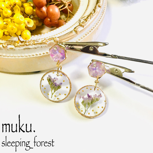 ✴︎エミールの標本ピアス✴︎ レジン ドライフラワー クラシカル