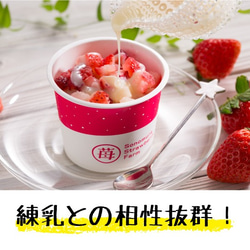 【6カップ】手軽に練乳いちごが楽しめる！「ぷち苺」6カップ 練乳付き 4枚目の画像