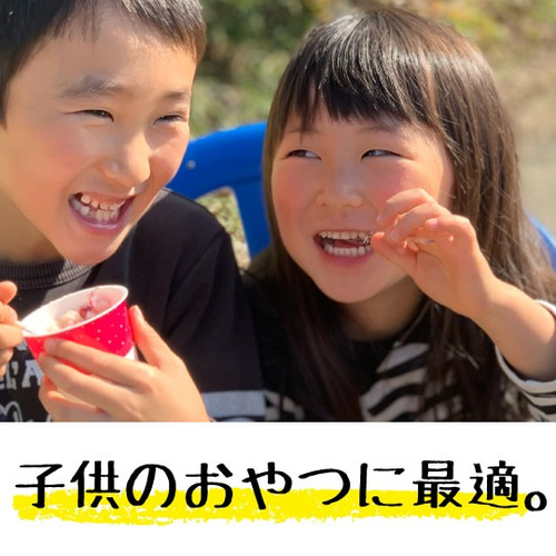 3x3カップ】☆両方食べたい人に☆「ぷち苺」「さら苺」3x3
