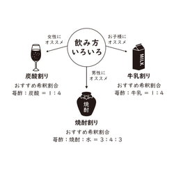 農家秘伝の完熟苺酢 200mlｘ2本 4枚目の画像