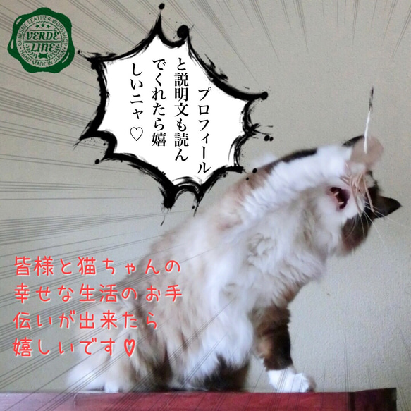 送料無料【本革】 ❤️レザー牛ヌメ革❤️ ハンドメイド猫じゃらし用猫のおもちゃ【アジの開き】ネコ夢中！誕生日プレゼントに 10枚目の画像