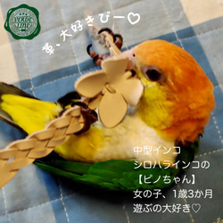 送料無料【本革】❤️レザー牛ヌメ革❤️ガシガシ系鳥インコのおもちゃ【編み編みバンド】 leather bird toy 9枚目の画像