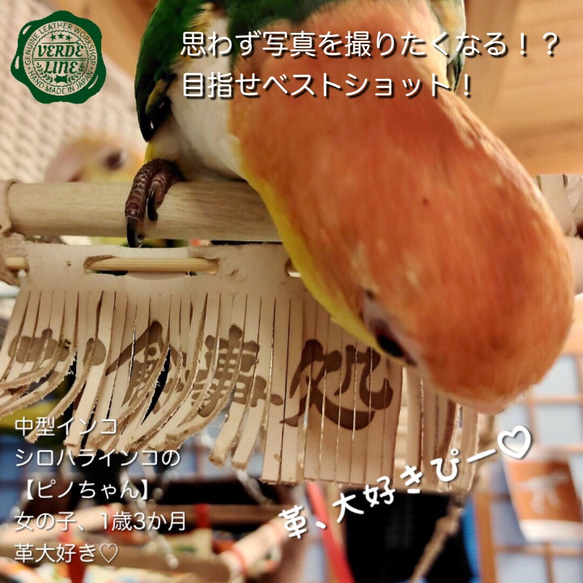 送料無料【本革】レザー❤️ ハンドメイドガシガシ系鳥インコのおもちゃ【のれん】 leather bird toy 7枚目の画像