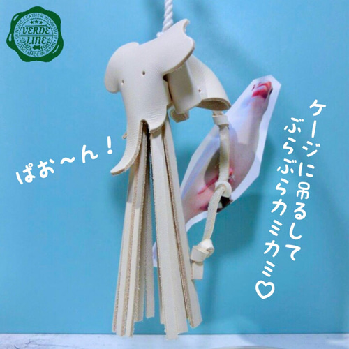 送料無料【本革】 ❤️レザー牛ヌメ革❤️ガシガシ系インコ鳥の