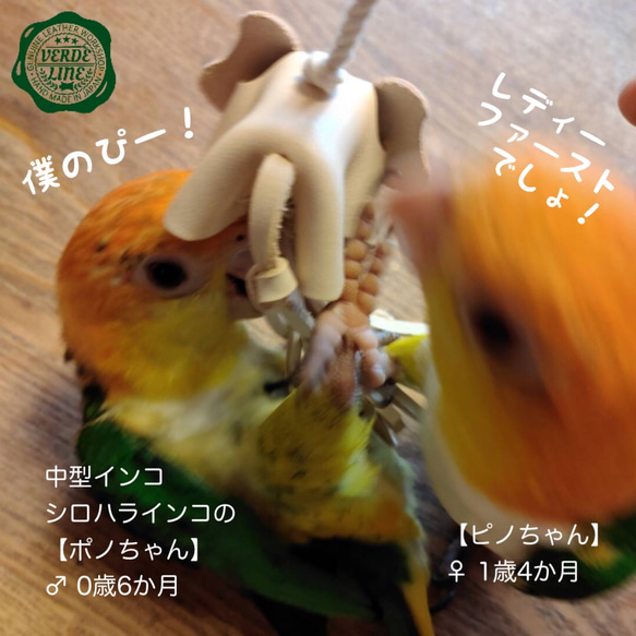 送料無料❤️【噴水ゾウさん】と【編み編みボール】のセット❤️牛ヌメ革ハンドメイドインコ鳥のおもちゃ誕生日プレゼントに 8枚目の画像