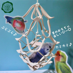 送料無料【本革】 ❤️レザー牛ヌメ革❤️ガシガシ系インコ鳥のおもちゃ【ゆりかご】 leather bird toy 2枚目の画像