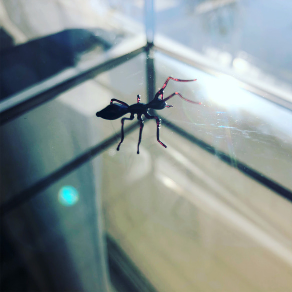 ガラスのアリ【受注制作】 1枚目の画像