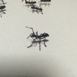 ガラスのアリ【受注制作】 2枚目の画像