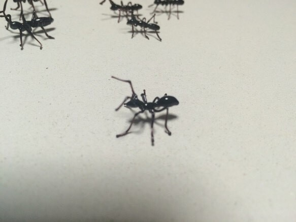 ガラスのアリ【受注制作】 2枚目の画像
