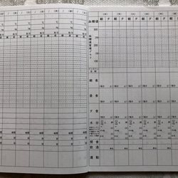 健康管理ノート　糖尿病ケア用 3枚目の画像