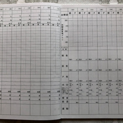 (セール)健康管理ノート　糖尿病ケア用 5冊セット 3枚目の画像