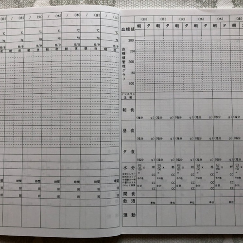 セール)健康管理ノート 糖尿病ケア用 5冊セット ノート mannenao