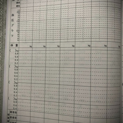 (セール)健康管理ノート　ウエイトケア用　5冊セット 3枚目の画像