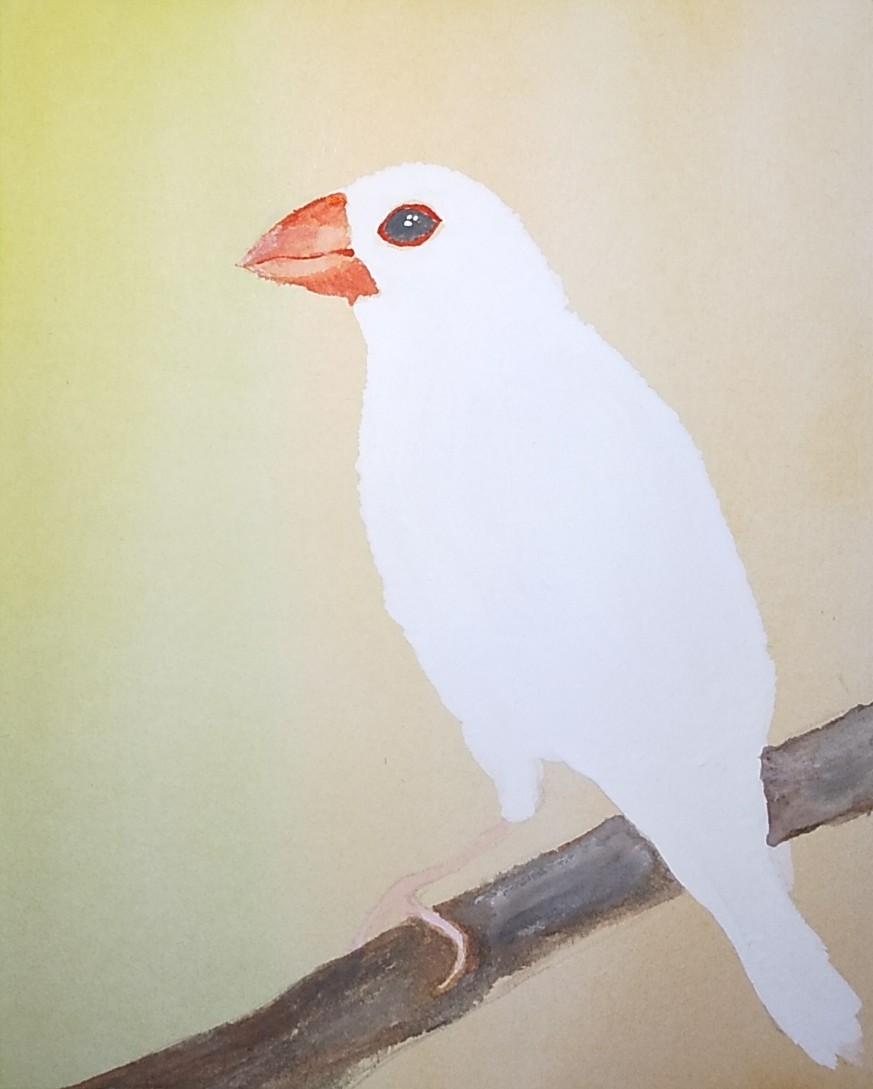 色鉛筆画 文鳥 (原画) 文鳥ゴンちゃんを描こう！ | 色鉛筆画はじめました