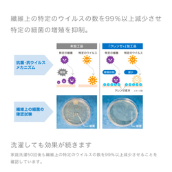  第9張的照片