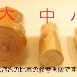 【受注制作】リンゴの木のはんこ-シンプル染物仕様 3枚目の画像