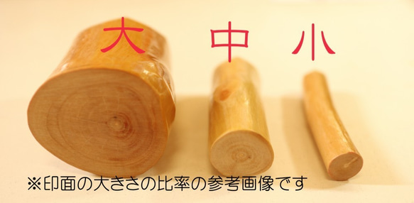 【受注制作】リンゴの木のはんこ-シンプル染物仕様 3枚目の画像