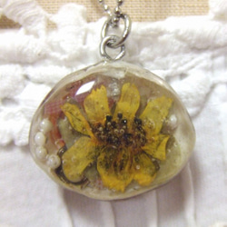 貝殻と押し花のネックレス 3枚目の画像