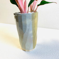 ハイドロカルチャー　アグラオネマ  レッドゴールド　小石原焼　陶器　観葉植物 7枚目の画像