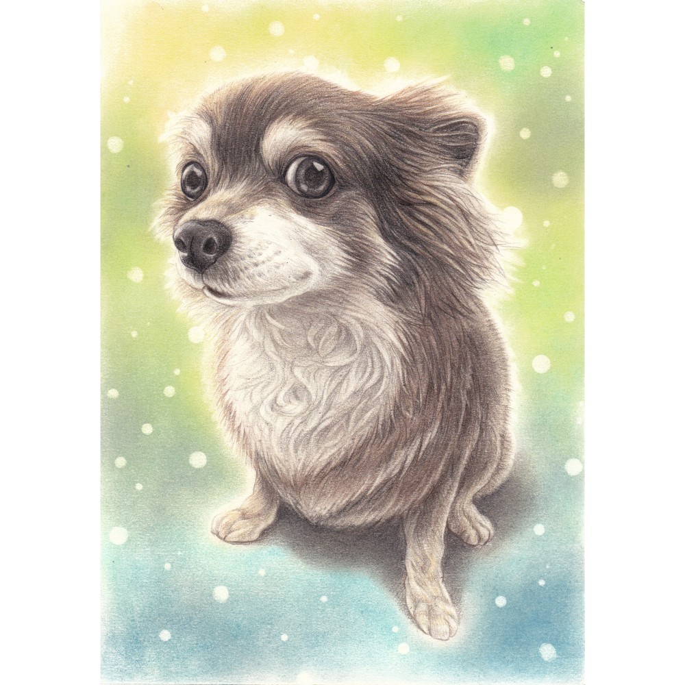 ✴️特別価格【原画】『夢幻界侵入者』（猫犬動物絵画パステル画