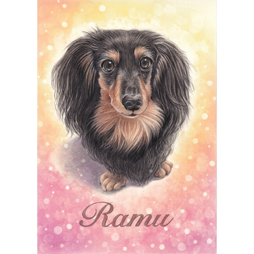 犬の似顔絵‐パステル＆色鉛筆 展示① (犬 猫 動物イラスト