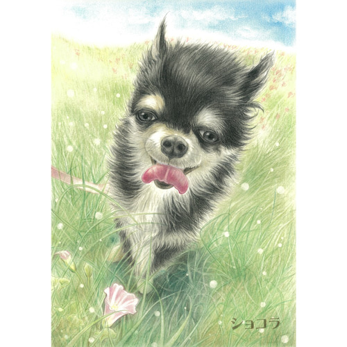 ✴️特別価格【原画】『夢幻界侵入者』（猫　犬　動物　絵画　パステル画　風景画） 原画】『夢幻界侵入者』（猫 犬 動物 絵画 パステル画 風景画