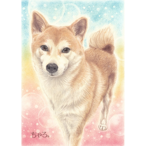 犬の似顔絵‐パステル＆色鉛筆 展示① (犬 猫 動物イラスト 水彩画