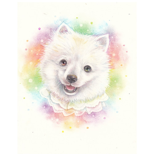犬の似顔絵‐パステル＆色鉛筆 展示① (犬 猫 動物イラスト