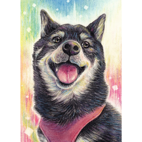✴️特別価格【原画】『夢幻界侵入者』（猫犬動物絵画パステル画