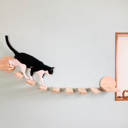 名入れ無料 ❃猫の橋-Soramichi-Msize❃ ・猫・キャットウォーク