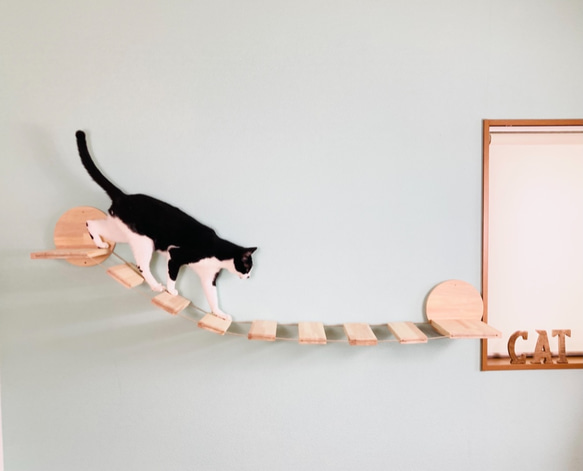 名入れ無料 ❃猫の橋-Soramichi-Msize❃ ・猫・キャットウォーク