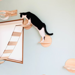 名入れ無料   ❃まんまるい猫の階段-Dot❃　キャットウォーク・キャットタワー・ステップ・水玉模様・おもちゃ 3枚目の画像