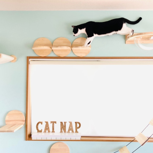 名入れ無料 ❃まんまるい猫の階段-Dot❃ キャットウォーク・キャット