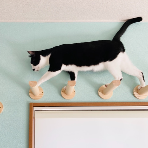 ❃猫の階段-Pin❃・猫・ステップ・キャットタワー・キャットウォーク