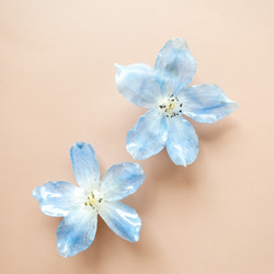 【デルフィニウム　ピアス】✳︎生花のアクセサリー 1枚目の画像