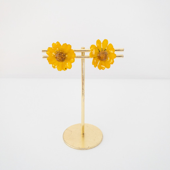 【メランポジウム　イヤリング】✳︎生花のアクセサリー 2枚目の画像